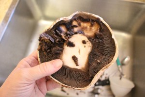 Scrape gills gently with a spoon. ©2014 Deborah Kaplan