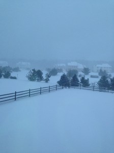 Snow storm last Winter.