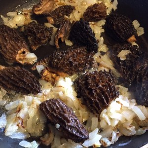 Morels