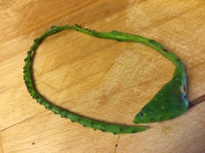 Removal of outer edge and woody area at base.