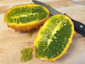 An unexpected discovery.